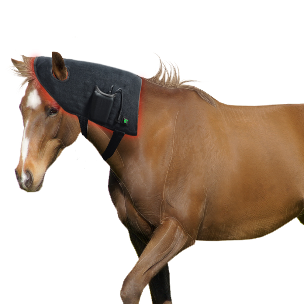New Pet Horse Products Horse H - Woodworking Therapy recension och pris